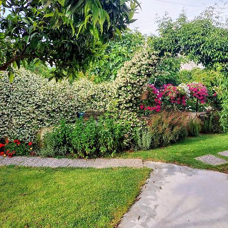 Summer Village House Popi Kanakádes Dış mekan fotoğraf