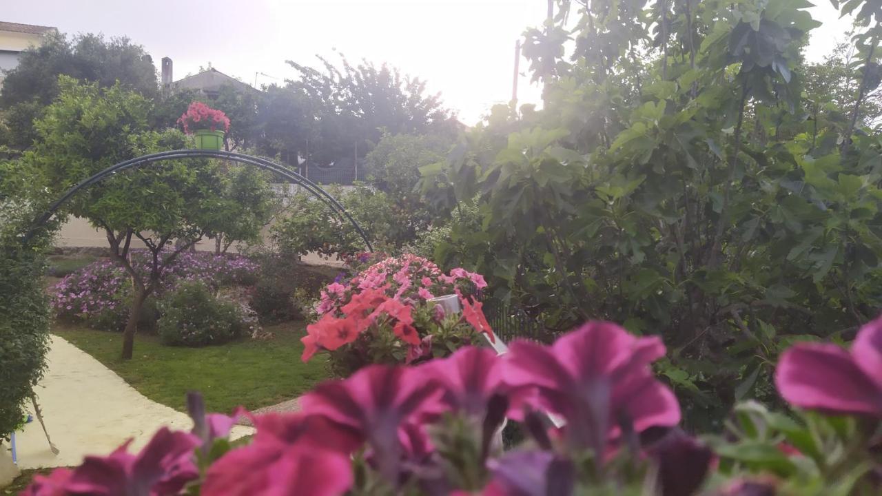Summer Village House Popi Kanakádes Dış mekan fotoğraf
