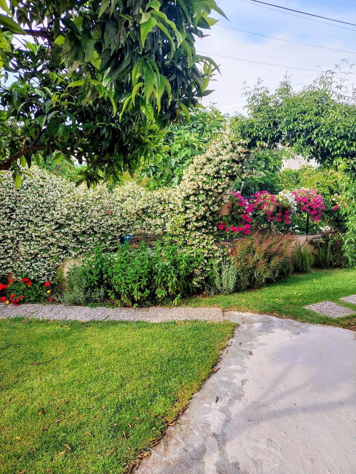 Summer Village House Popi Kanakádes Dış mekan fotoğraf