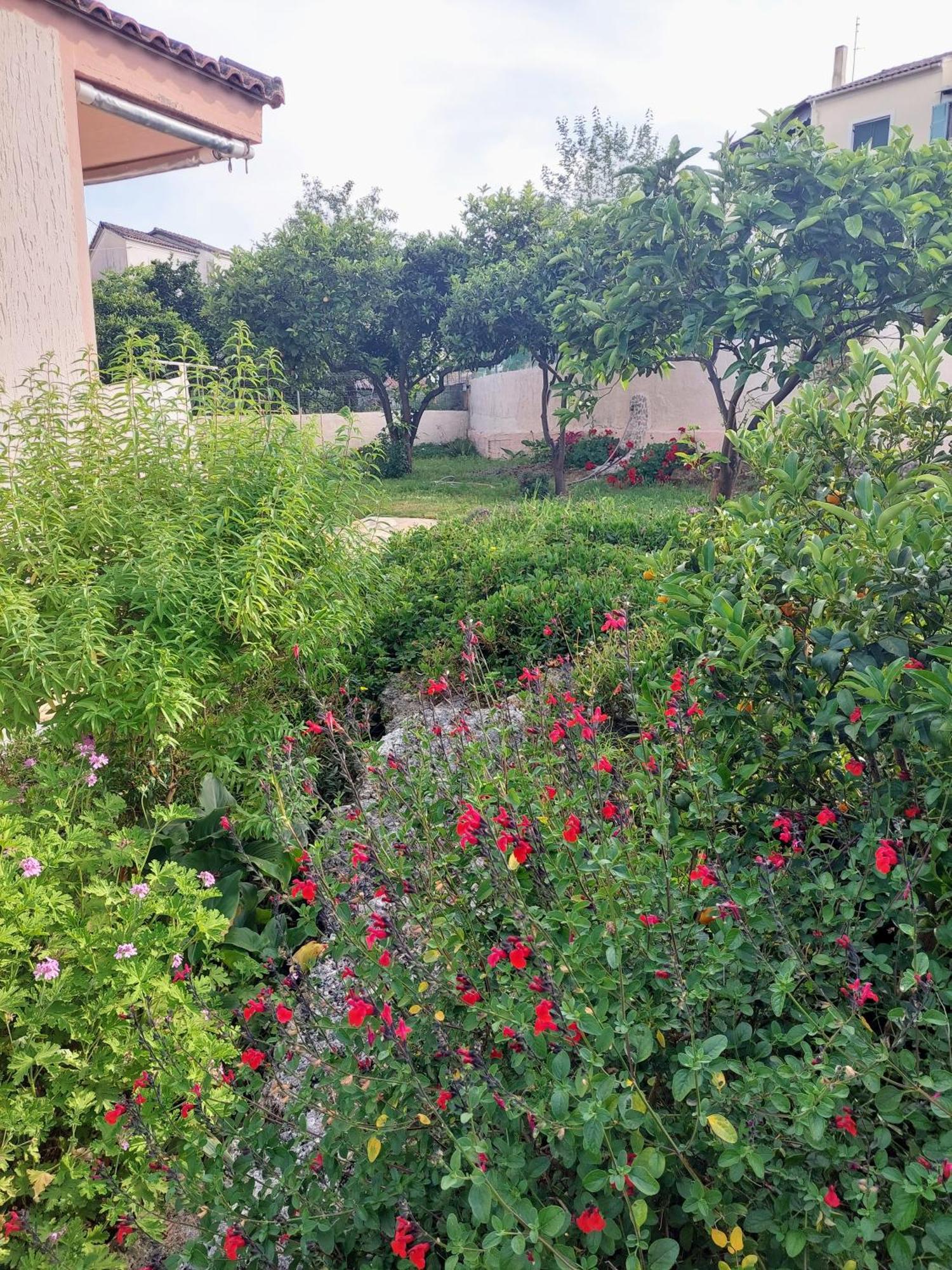 Summer Village House Popi Kanakádes Dış mekan fotoğraf